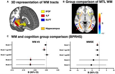 APOE4 allele-specific associations between diet, multimodal biomarkers, and cognition among Puerto Rican adults in Massachusetts